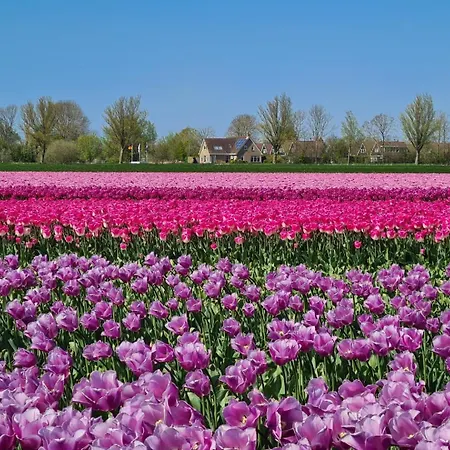 Villa 57 Op Recreatiepark De Wielen Sint Maarten