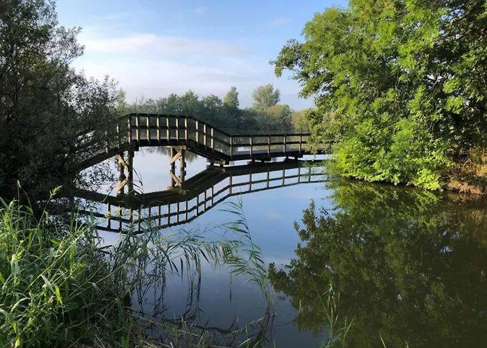 57 Op Recreatiepark De Wielen Villa *